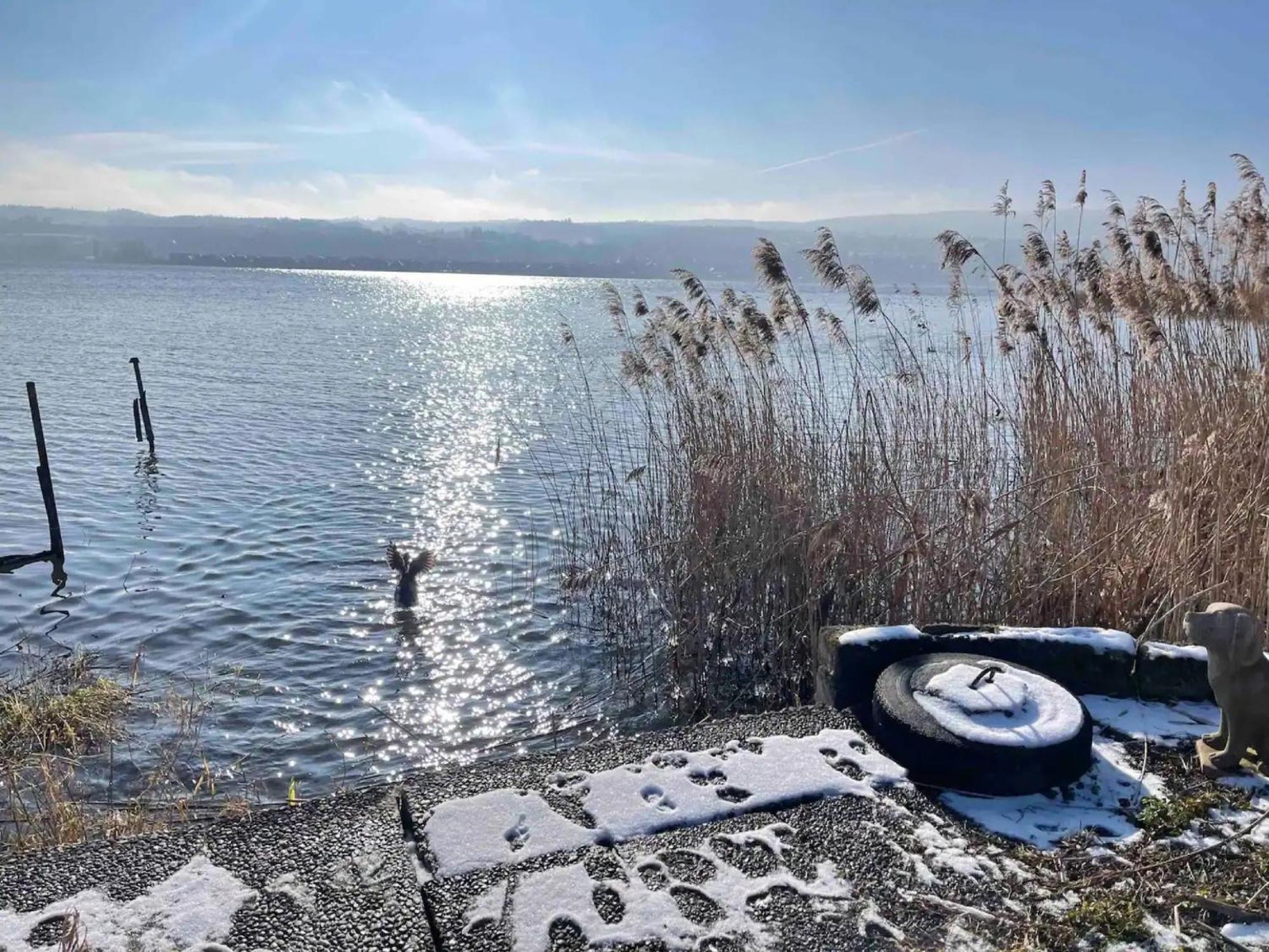 Seeluft Direkt Am Wasser 라이헤나우 외부 사진